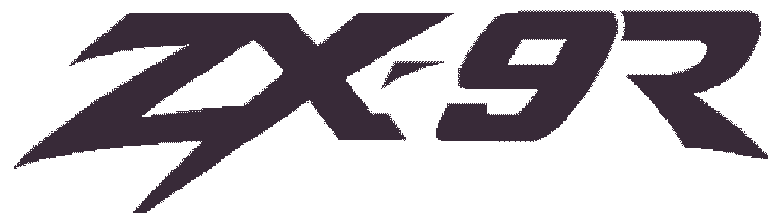 ZX9 Header.gif (3915 bytes)